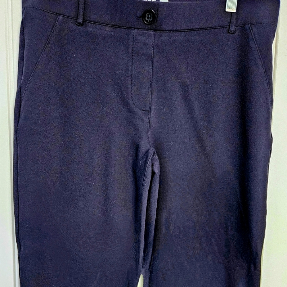 BetaBrand Dress Yoga Pants Blue Size Lrg